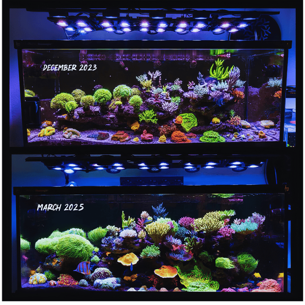 イリューマジックアドバンス60 水草用　illumagic advance イリューマジックアドバンス60 水草用 illumagic advance 加湿器