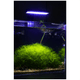 Tini Refugium LED lighting bundle pack DALUA