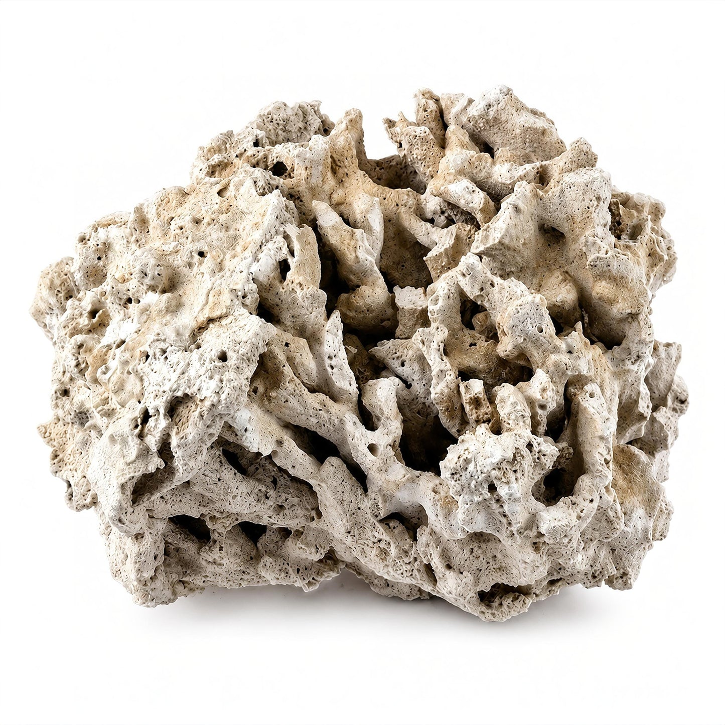 Genuine Fiji Pukani Rocks