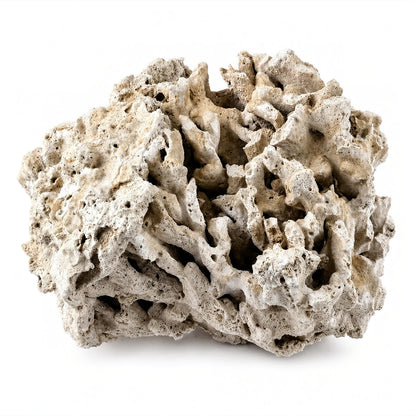 Genuine Fiji Pukani Rocks