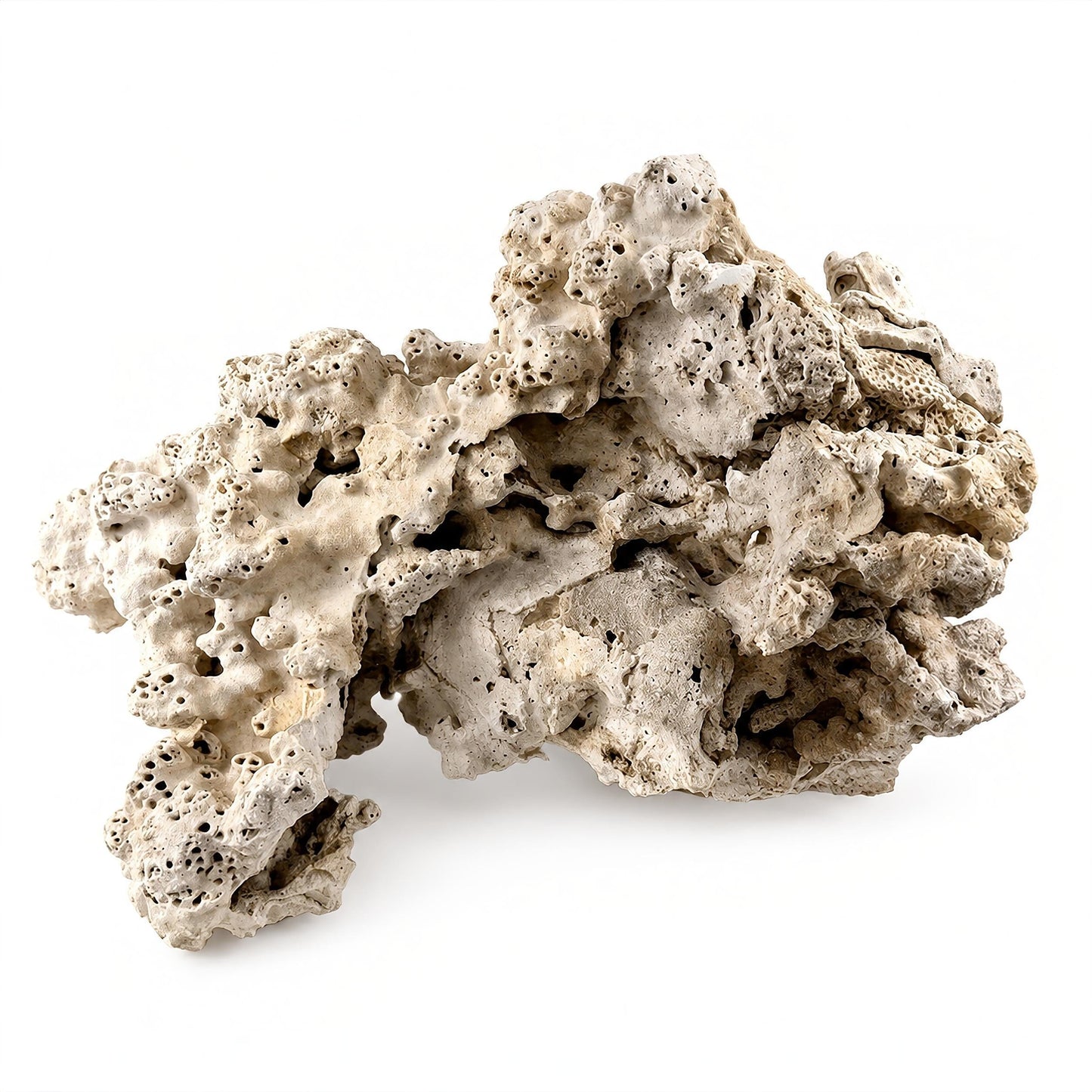 Genuine Fiji Pukani Rocks