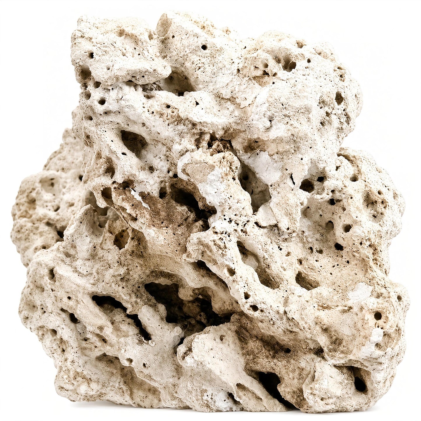 Genuine Fiji Pukani Rocks