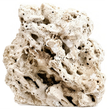 Genuine Fiji Pukani Rocks