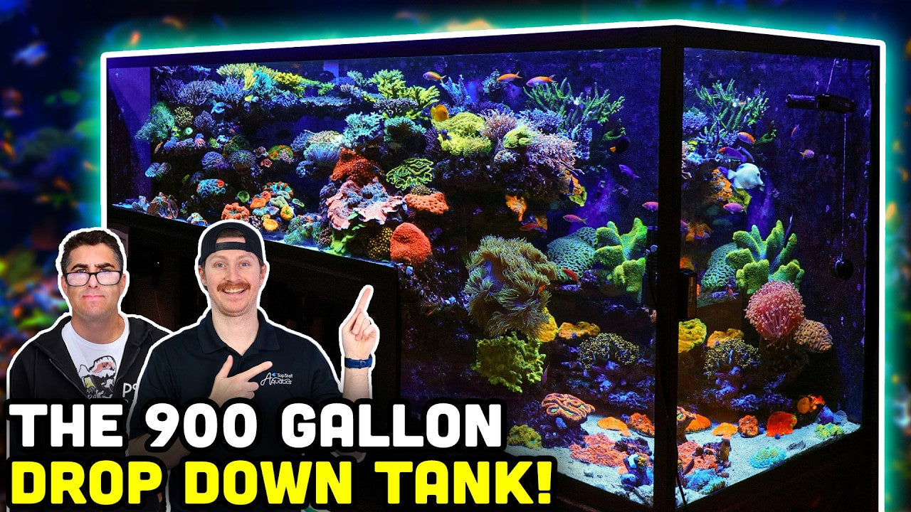 Load video: 