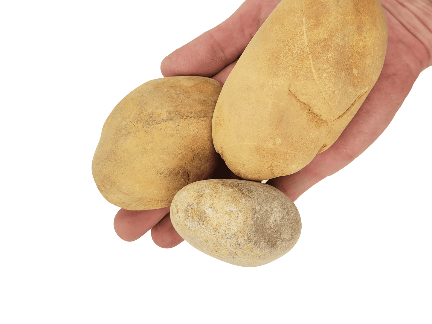 WIO - Bumblebee Boulder Wood and Rock WIO 