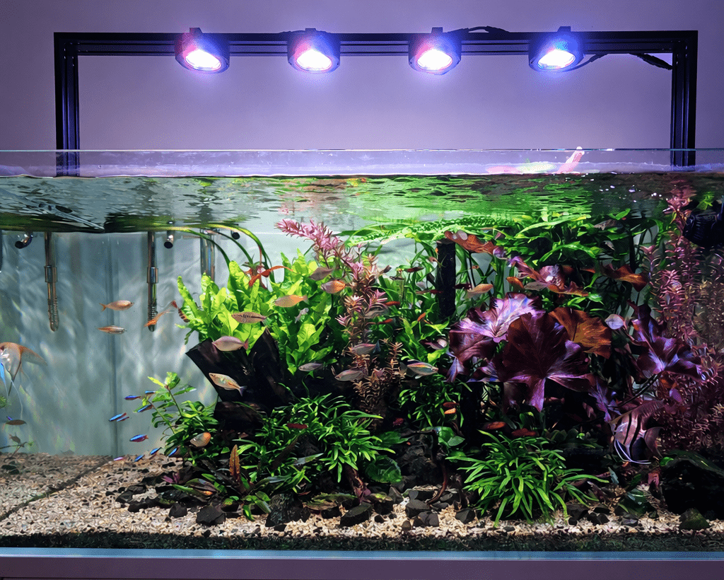 Illumagic Pixels Aquascaper LED LIGHTING DaluaAustralia 