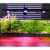 Pixel LED Bundle lighting bundle pack DALUA 