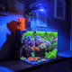PIXEL LED BUNDLES lighting bundle pack DALUA 