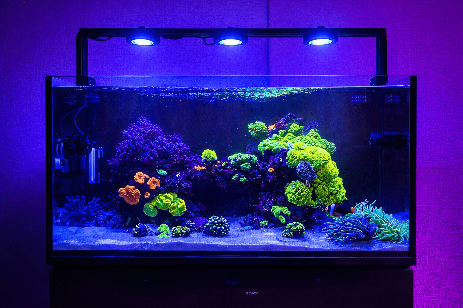 Pixel LED Bundles All Sizes lighting bundle pack DALUA 