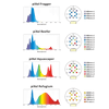 Single Pixel LED Bundle lighting bundle pack DALUA 