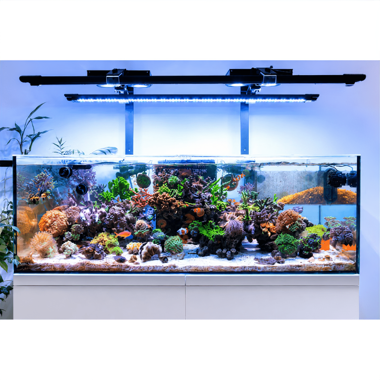 X4 Beast Mode SPS Lighting Bundle All Sizes lighting bundle pack DALUA 