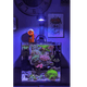 Pixel LED Bundle lighting bundle pack DALUA