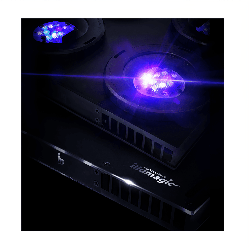 Illumagic X4 Limited Edition *Platinum White* LED LIGHTING DaluaAustralia Reefer Pro 