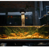 Pixel LED Bundles lighting bundle pack DALUA 