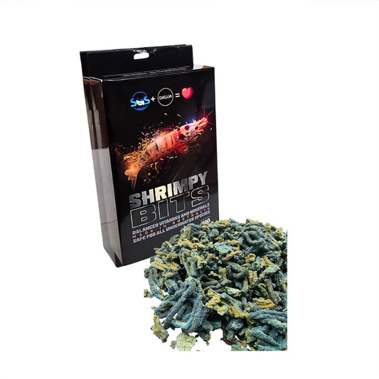 Shrimp Bits SAS DaluaAustralia 