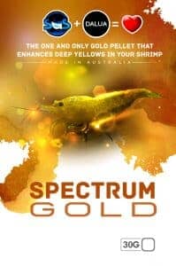 Spectrum Gold by SAS shrimp food DALUA