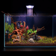 The Tini Aquascaper LED lighting bundle pack DALUA