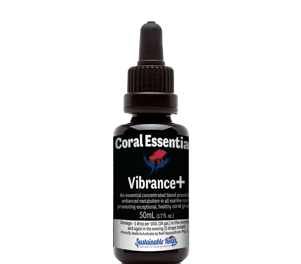 Coral Essentials Chroma Vibrance Energy Black Label