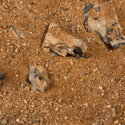 WIO - Amber Dragon Riverbed Soil and Substrate WIO 