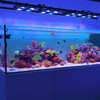 Beast Mode SPS Lighting Bundle All Sizes lighting bundle pack DALUA 
