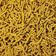Shrimp Food Spectrum Gold DaluaAustralia 